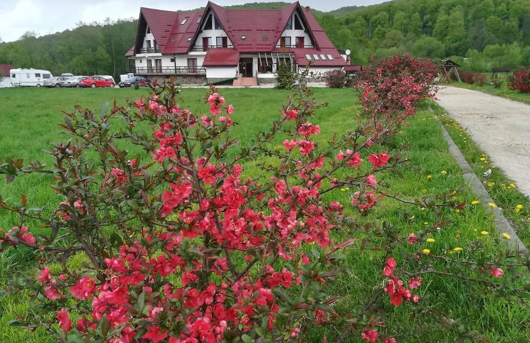 Pensiunea Rasnov-1