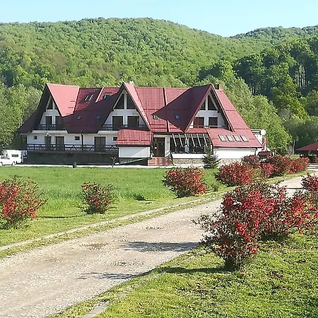 Pensiunea Rasnov-3