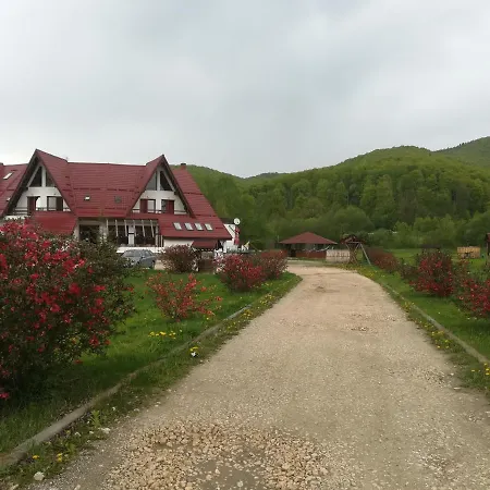 Pensiunea Rasnov-2